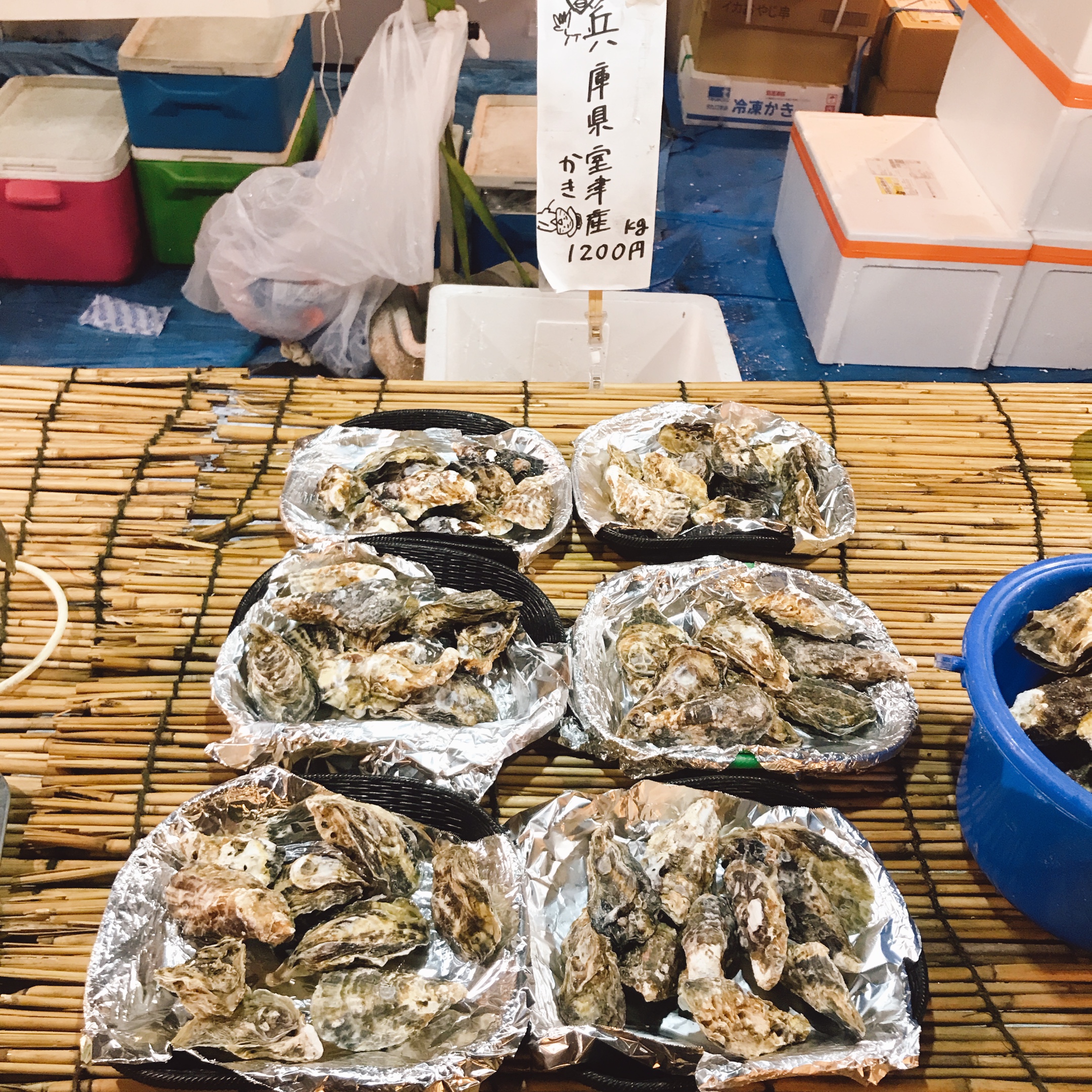 兵庫県室津産牡蠣
