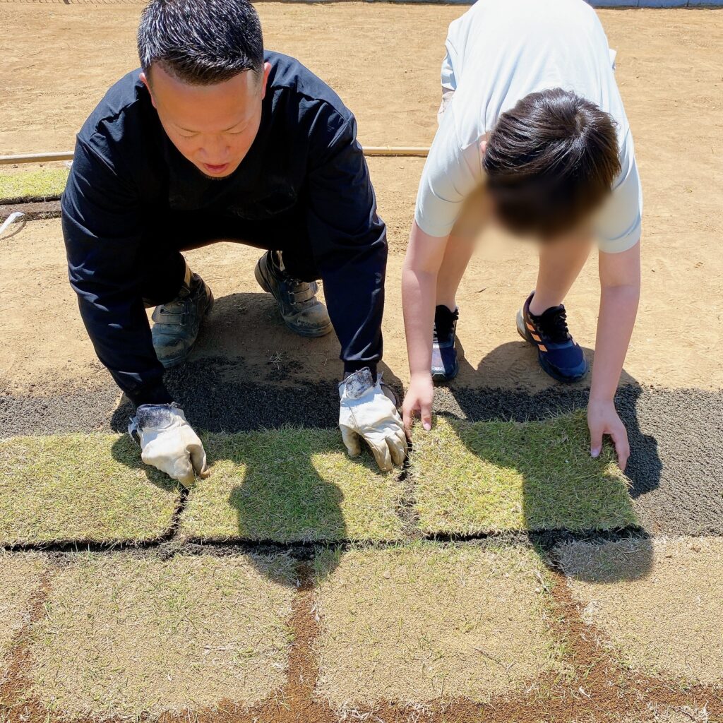 子供と一緒に芝を張っている