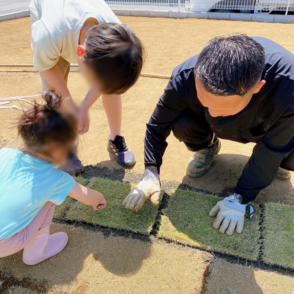 子供達と芝を張っていく