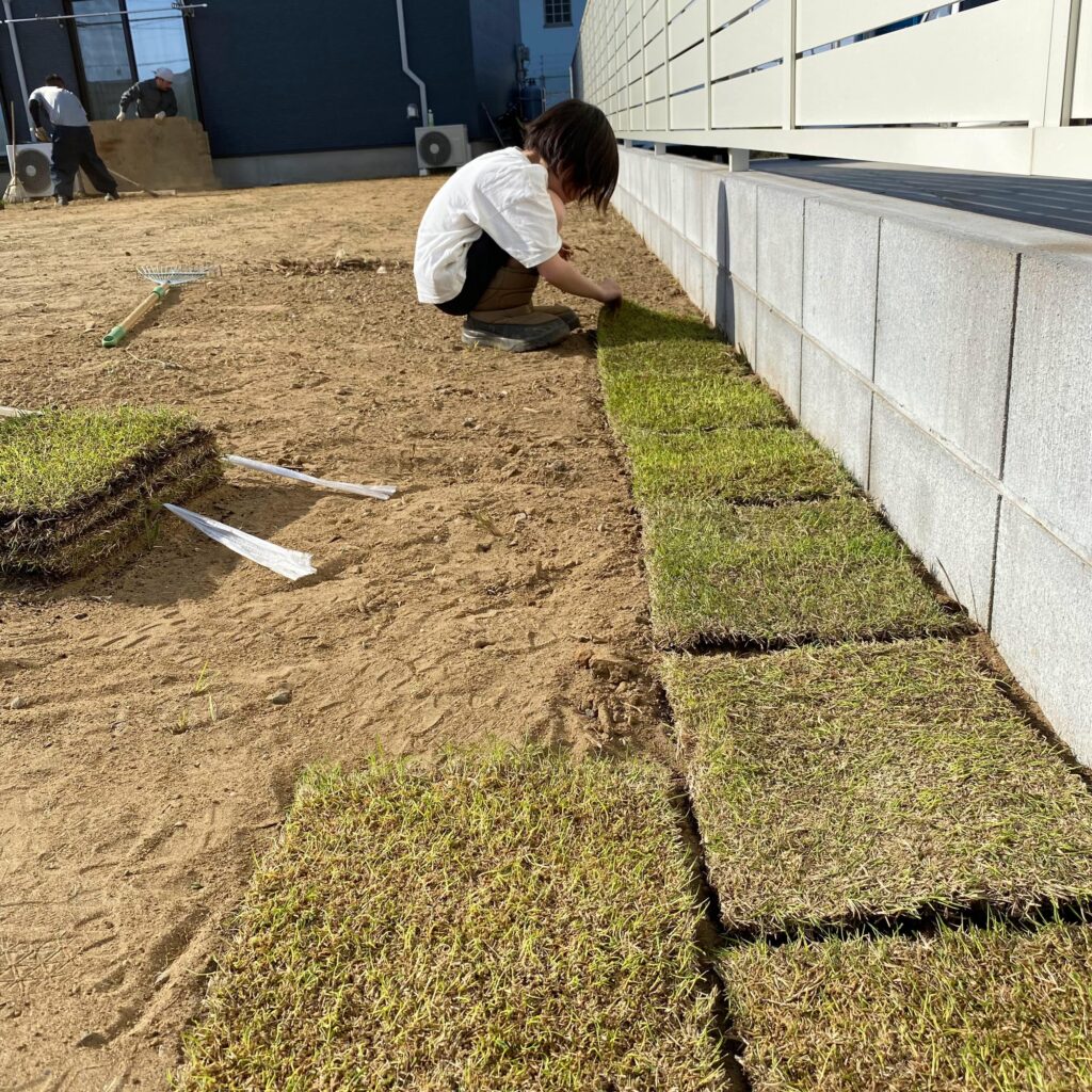 子供が芝を張っている