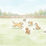 成田市のドッグラン完全ガイド|無料施設の登録方法・料金まで徹底解説