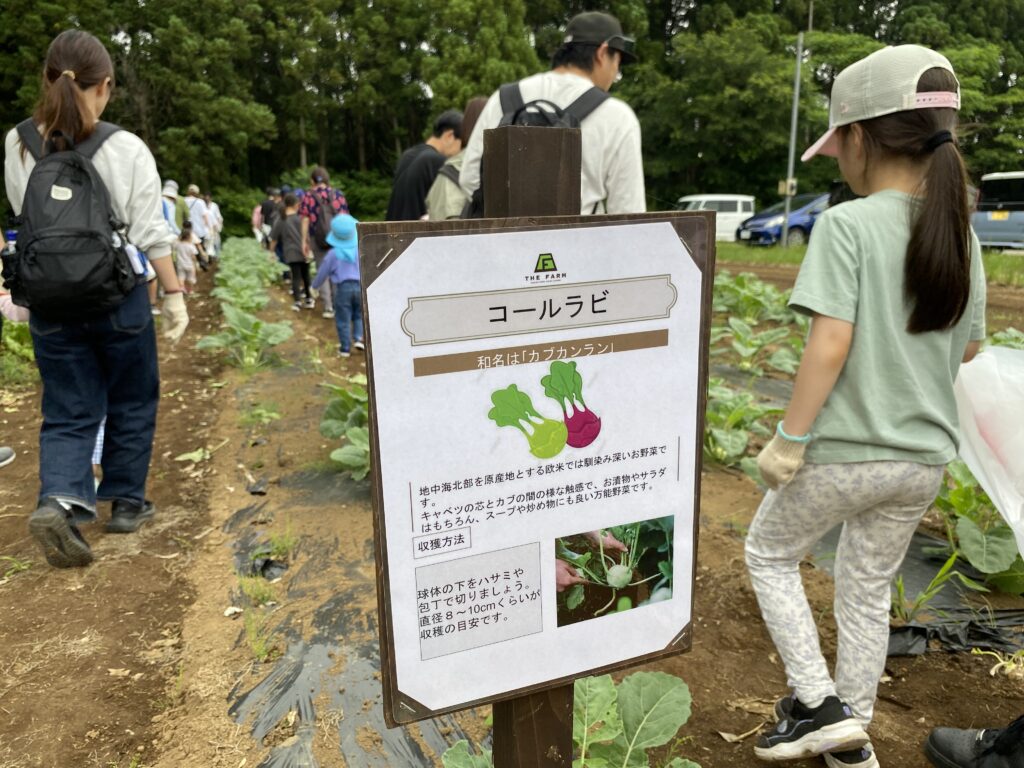 看板