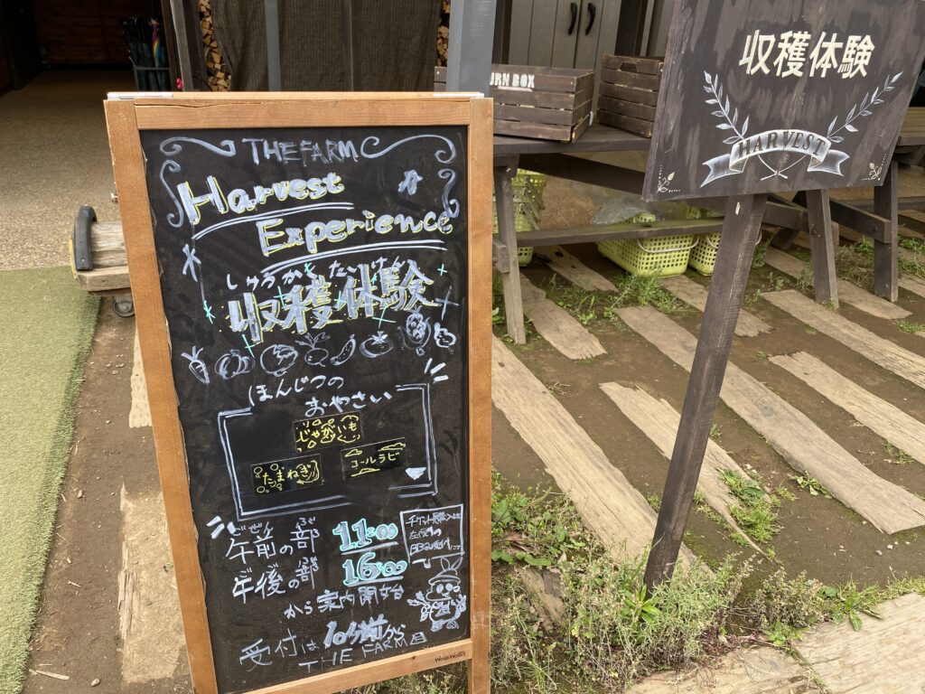 野菜の収穫
