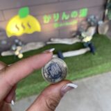 コイン持ってる