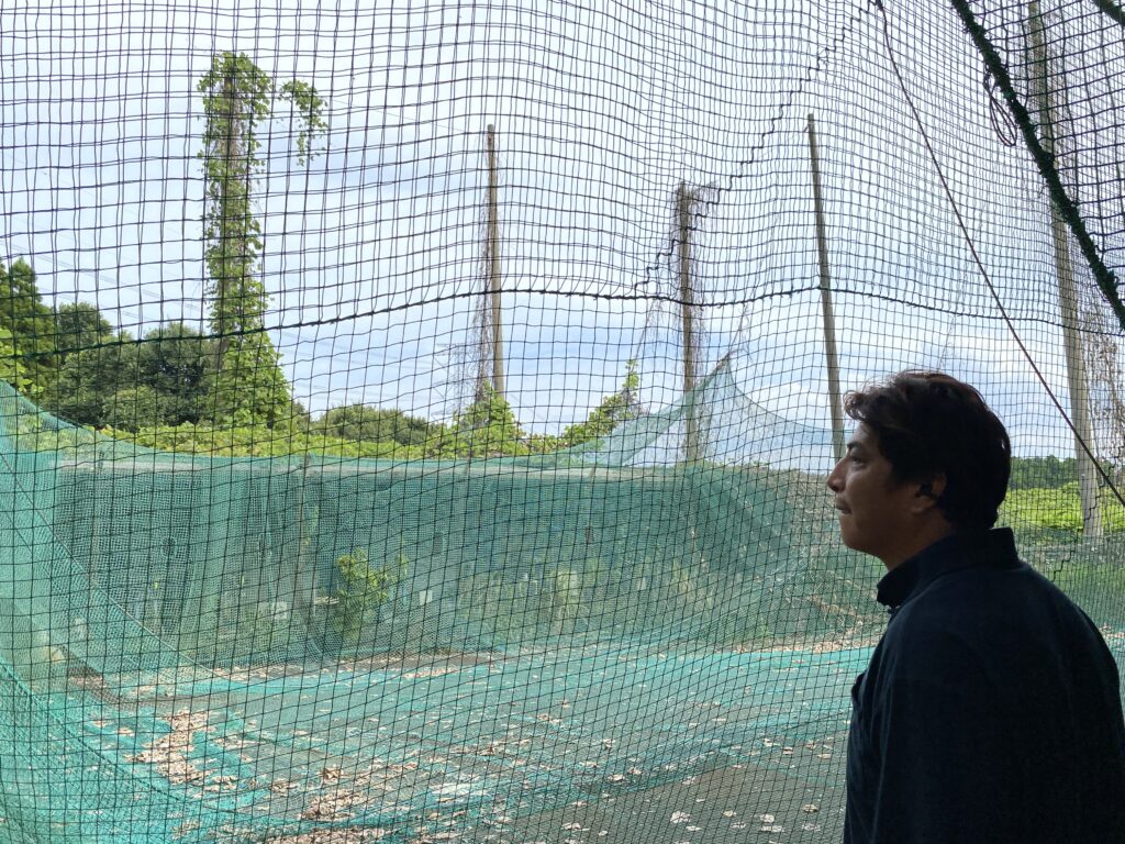 野球