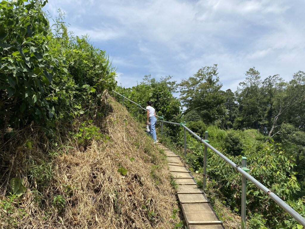 高台へ登る