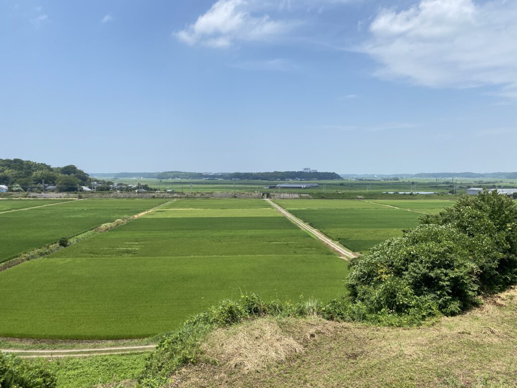 本佐倉城跡高台からの田園風景