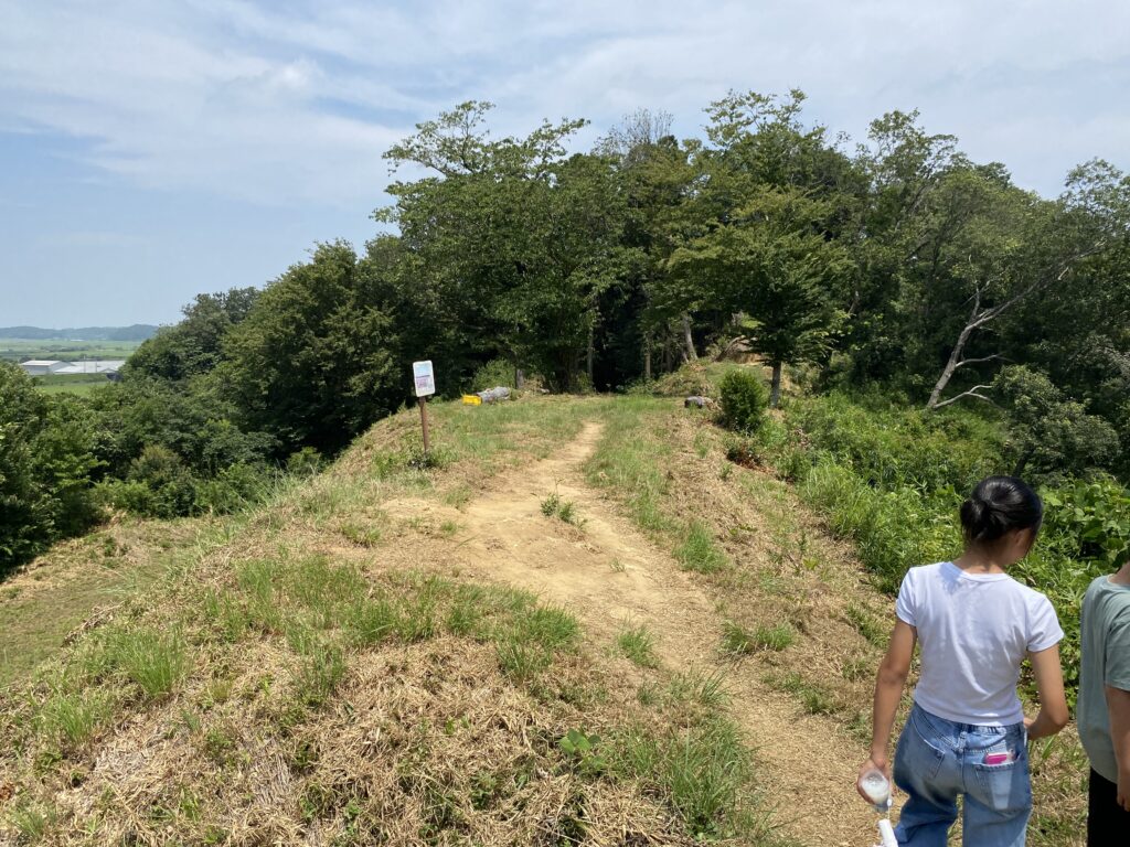 高台から見渡した風景