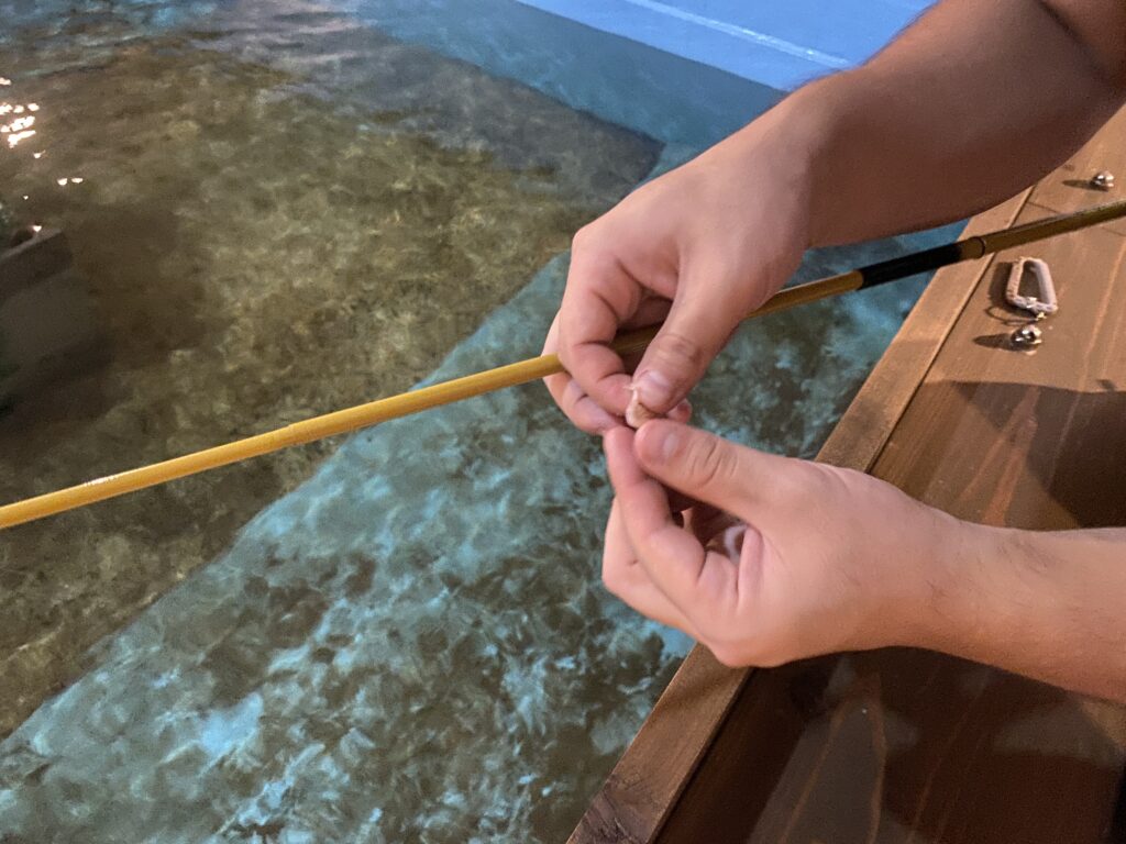 餌付け